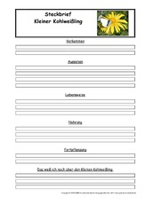 Kleiner-Kohlweißling-Steckbriefvorlage.pdf